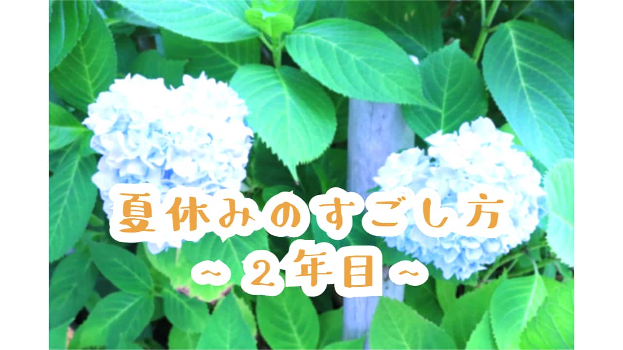 画像「夏休みのすごし方2年目」のアイキャッチ画像