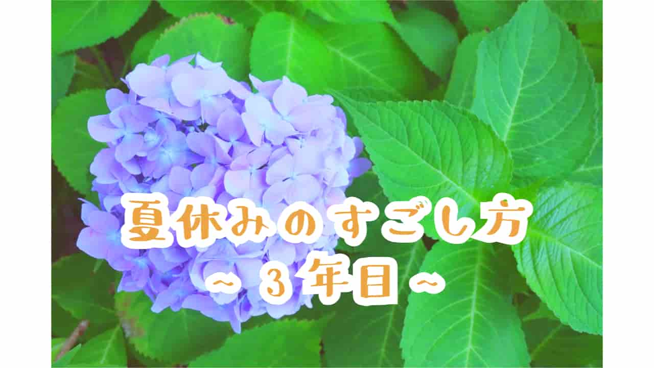 「夏休みのすごし方3年目」アイキャッチ画像