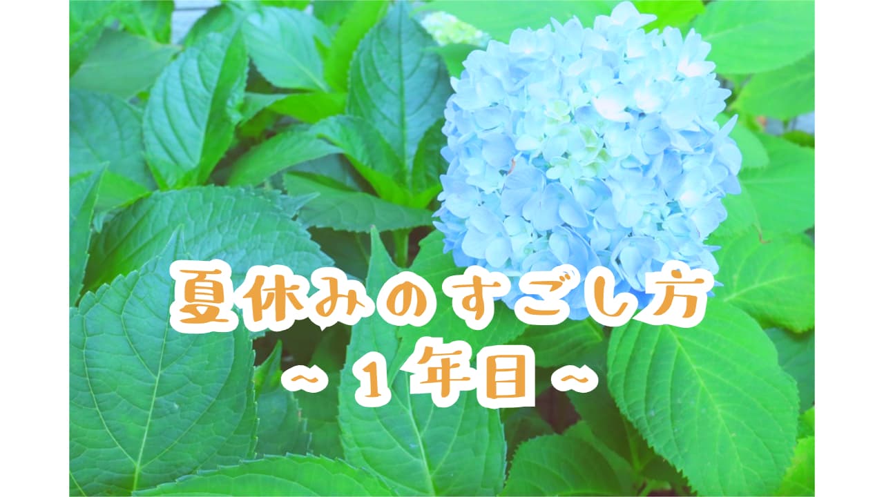 「夏休みのすごし方～1年目～」アイキャッチ画像
